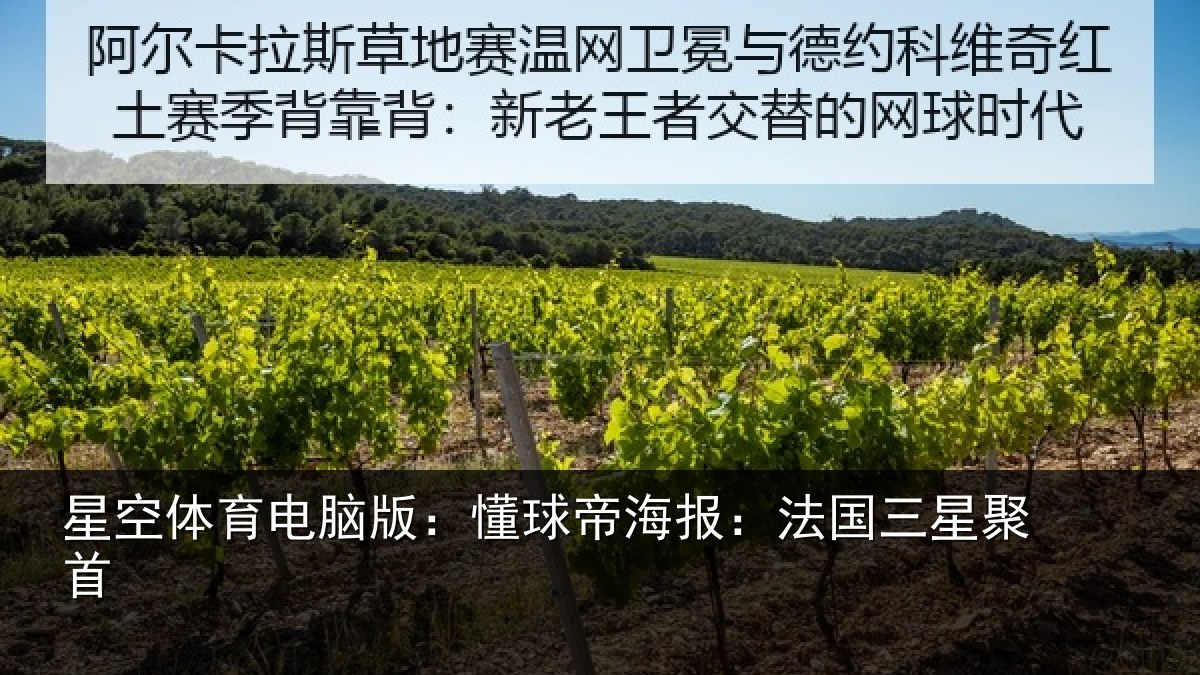 星空体育电脑版:懂球相关情况首