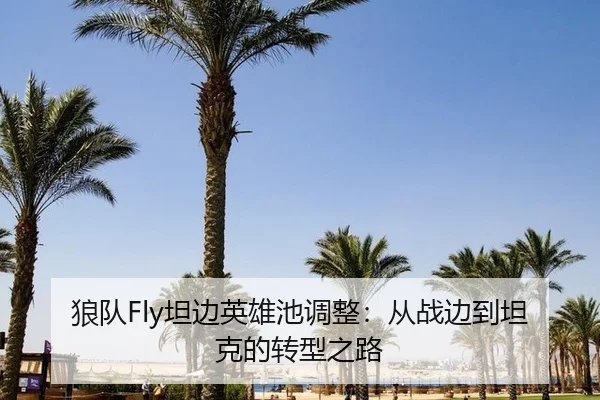 狼队Fly坦边英雄池调整：从战边到坦克的转型之路