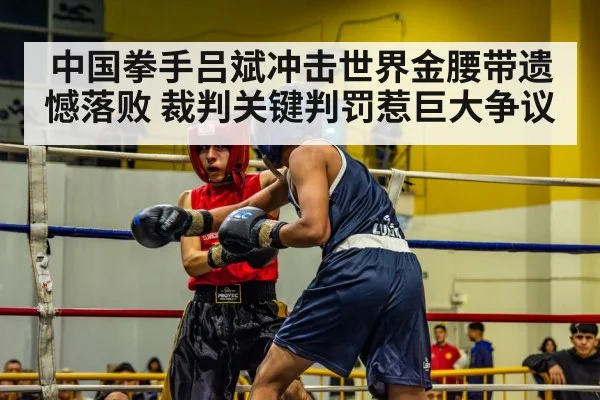 boxer in action